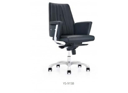 Executive Chair Office Furnishings Chair Office Chair Desk Swivel Chair Armchair