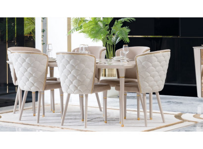 Dining room 6x Chair Suite Set Chairs Dining set Dining set Furniture Group Lehn