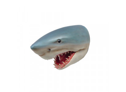 Sculpture Shark Wall Fish Sculptures Figures Statues Sculpture Statue Design 80cm