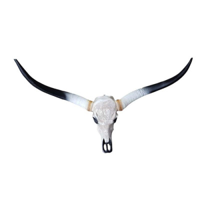 Bull Cattle Skull Decoration Not Real 100cm Wall Design Water Buffalo Skull