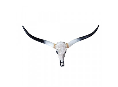 Bull Cattle Skull Decoration Not Real 100cm Wall Design Water Buffalo Skull