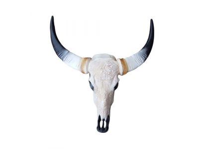 Bull Cattle Skull Decoration Not Real 69cm Wall Design Decoration Wall Skull