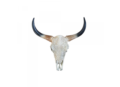 Bull Cattle Skull Decoration Not Real 65cm Wall Design Water Buffalo Skull