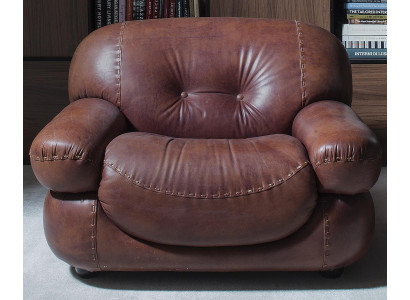 Vintage Leather Armchair Living room Genuine leather Upholstery TV Italian Furniture new