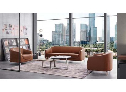 Living room Set Sofa set Suite Couch 3+1+1 Designer sofa Coffee table