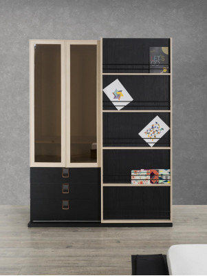 Office Wardrobe Shelf Glass Cabinet Cabinets Furniture Wood Furnishings Shelves