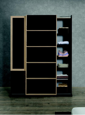 Office Wardrobe Shelf Glass Cabinet Cabinets Furniture Wood Furnishings Shelves