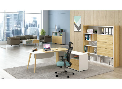 Filing cabinet Bookshelf Shelves Wardrobe Luxury Office Furniture Decorative Cabinets