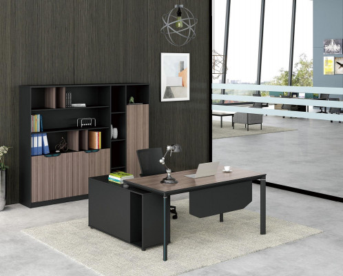 Filing cabinet Bookshelf Shelves Wardrobe Luxury Decorative Office Furniture Cabinets