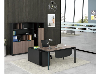 Filing cabinet Bookshelf Shelves Wardrobe Luxury Decorative Office Furniture Cabinets